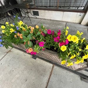 Meet your Posher, Marissa